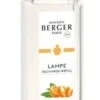 Lampe Berger Huisparfum 500ml - Orange Extrême / Extreme Orange -Meubeldecoratie Winkel lampe berger huisparfum 500ml orange extreme extreme orange 258x500 61adeb18ae20d l
