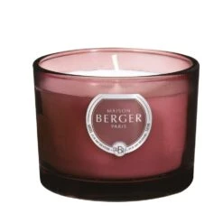 Maison Berger Paris Duo Set Duality Bouquet Parfumé 80ml + Bougie 80g 7 Maison Berger Paris Duo Set Duality Bouquet Parfumé 80ml + Bougie 80g -Meubeldecoratie Winkel maison berger paris duo set duality bouquet parfume 80ml bou 1000x1000 62bda670bce72 l