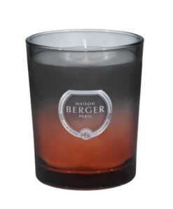 Maison Berger Paris Geurkaars Dare 180g - Grise