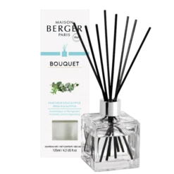 Maison Berger Paris Parfumverspreider Met Sticks Cube 125ml - Fresh Eucalyptus