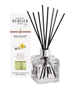 Maison Berger Paris Parfumverspreider Met Sticks Cube 125ml - Soleil Divin