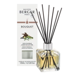 Maison Berger Paris Parfumverspreider Met Sticks Cube 125ml - Sous L'Oliveraie