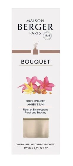 Maison Berger Paris Parfumverspreider Met Sticks Cube 125ml - Soleil D'Ambre