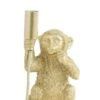 Tafellamp MONKEY Mat Goud - 13 X 12,5 X 23,5 Cm -Meubeldecoratie Winkel tafellamp monkey mat goud 13 x 12 5 x 23 5 cm 533x800 61b347bb46fa3 l