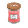 WoodWick Melon & Pink Quartz Mini Candle -Meubeldecoratie Winkel woodwick melon pink quartz mini candle 1500x1500 61a5ffbc3bfe2 l