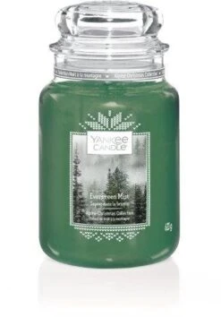 Yankee Candle Evergreen Mist Large Jar