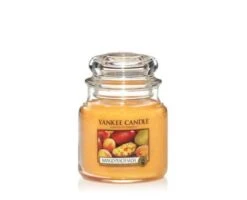 Yankee Candle Mango Peach Salsa Medium Jar